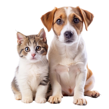 Animal Health